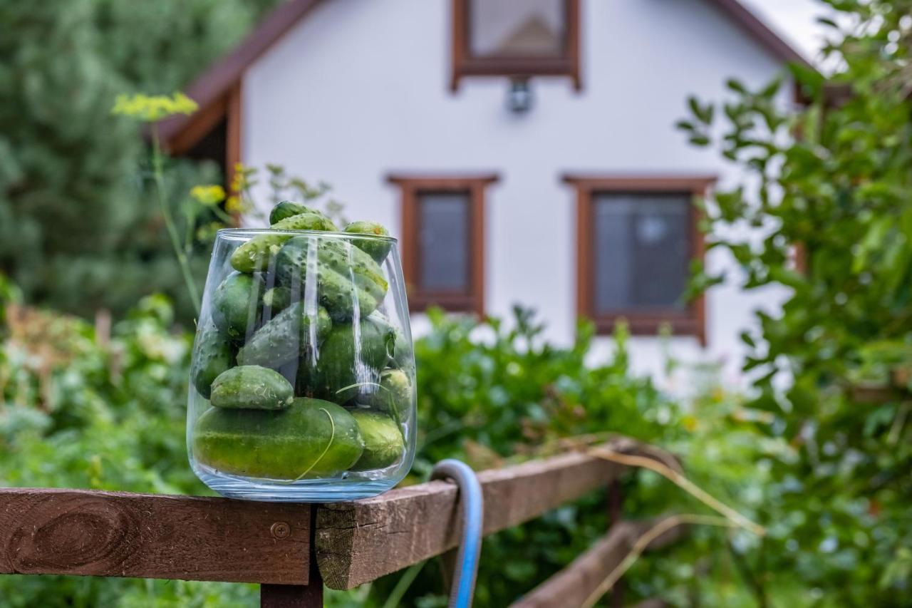 Maly Kaletnik Villa Екстериор снимка